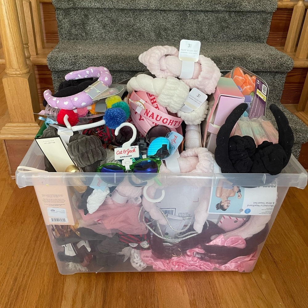 Target pallet 100+ items (reseller bundle)
Accessories